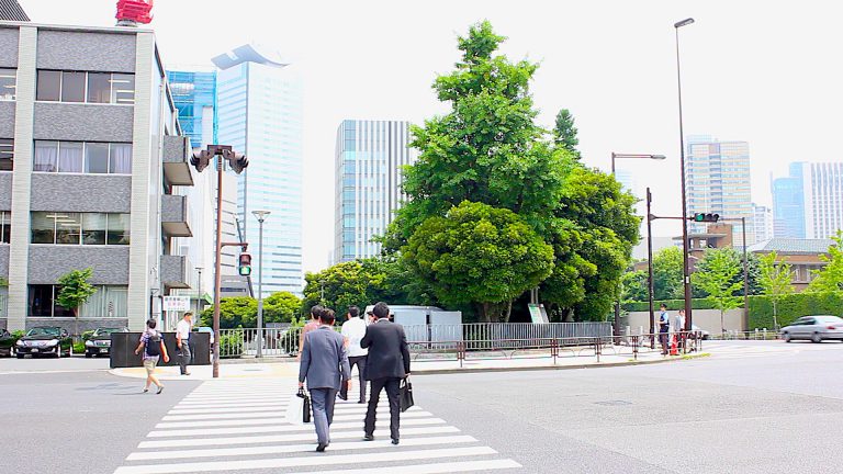 カジノ管理委員会 注目を集める