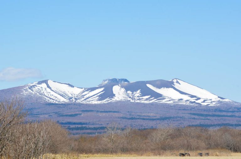 苫小牧 北海道IRに最適