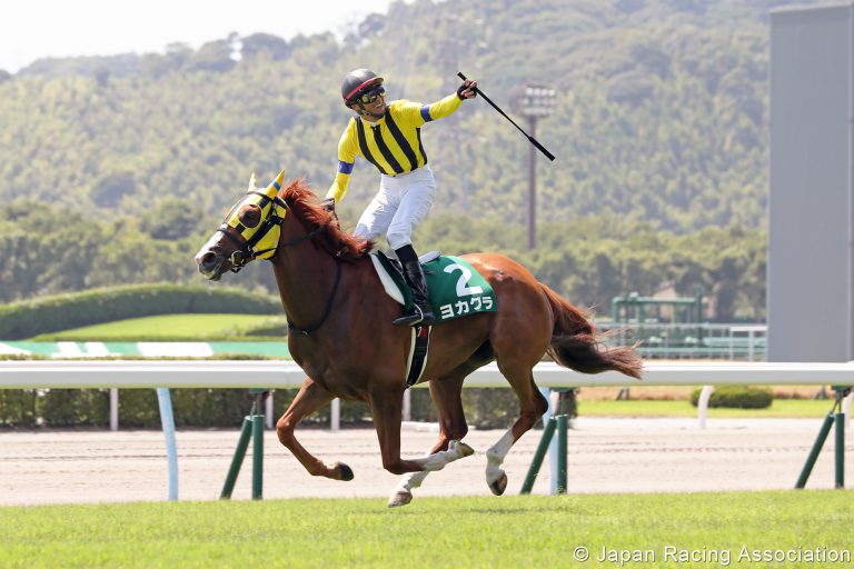 競争馬の熱中症対策