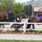 Turf Park Ride
