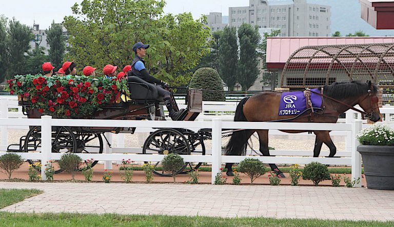 札幌競馬場、家族向け「ターフパーク」を用意