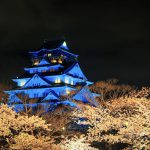 Black Castle