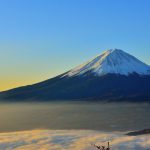 Fuji Soft
