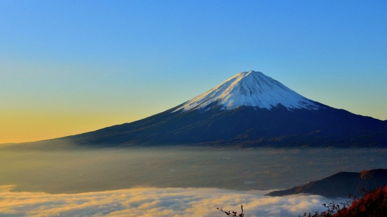 日本IR、投資アナリストは悲観的