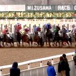 Iwate Mizusawa