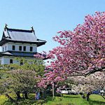 Hokkaido Castle