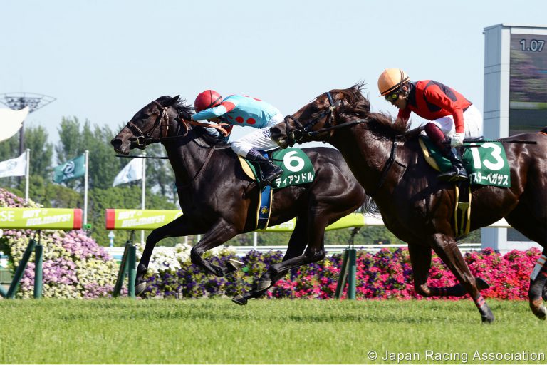 日本中央競馬会、禁止薬物使用により156頭の競走馬除外