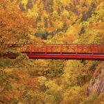 Hokkaido Autumn