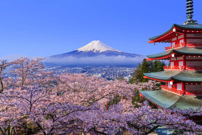 Japan-castle-view